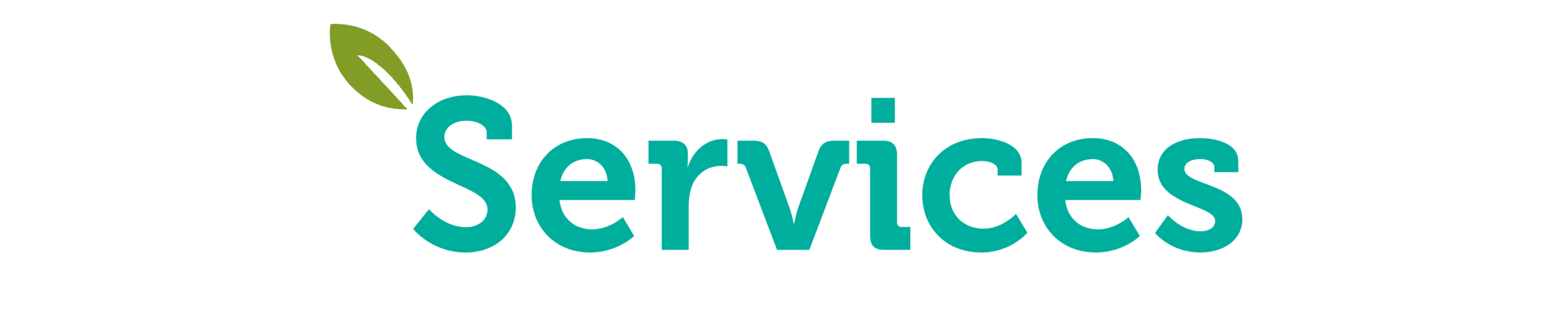 Our services